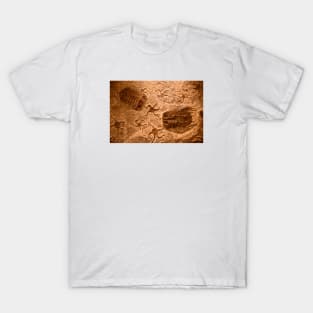 Dinosaur Petrification / Swiss Artwork Photography T-Shirt